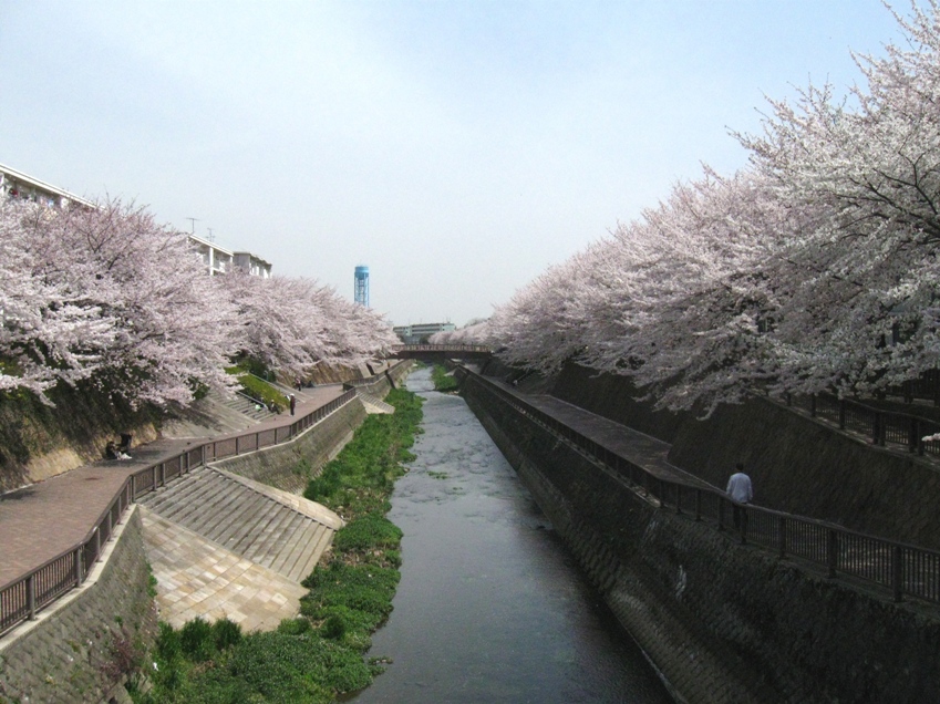 d0044222_22203750.jpg