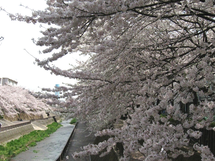 d0044222_22221039.jpg