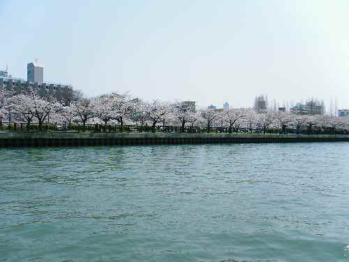 e0047322_22335658.jpg