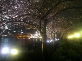 c0188525_16263918.jpg