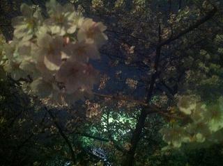 c0188525_162753.jpg