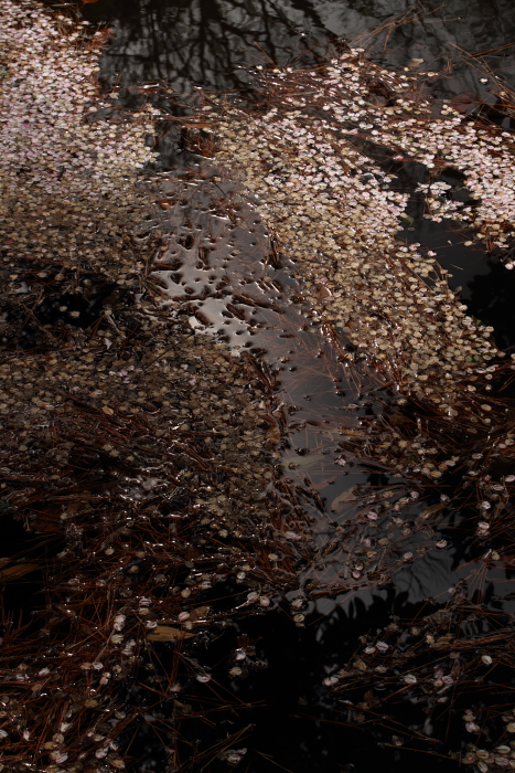 c0215627_23261996.jpg