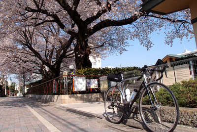 d0211129_0512015.jpg