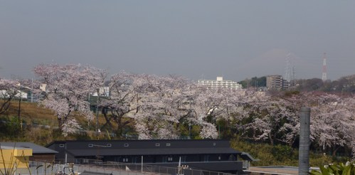 a0155430_12173922.jpg