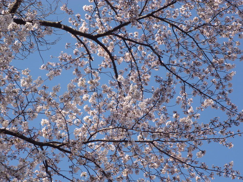 a0155430_12213843.jpg