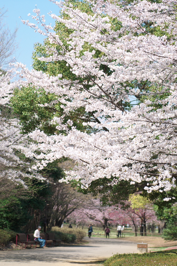 a0253730_21483049.jpg
