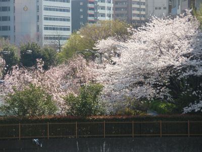 f0132230_1092559.jpg