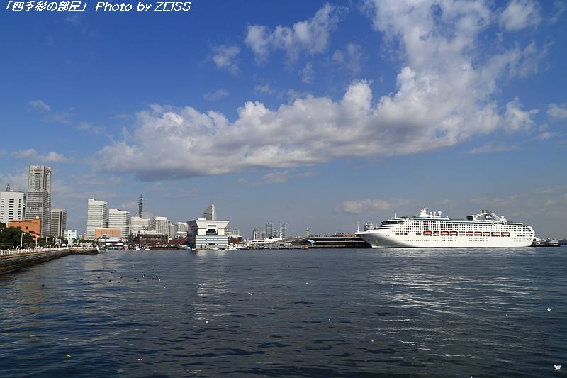 a0195032_21134949.jpg