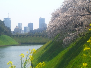 b0157532_20283345.jpg