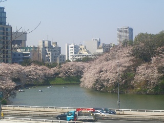 b0157532_20285311.jpg