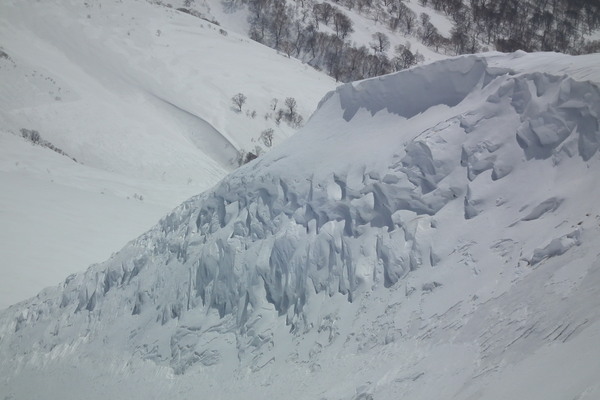f0118332_2317417.jpg