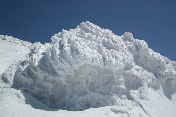 f0118332_2319111.jpg
