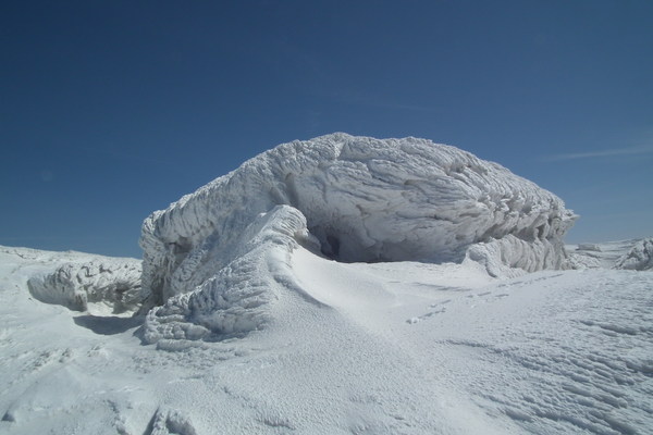 f0118332_2323975.jpg