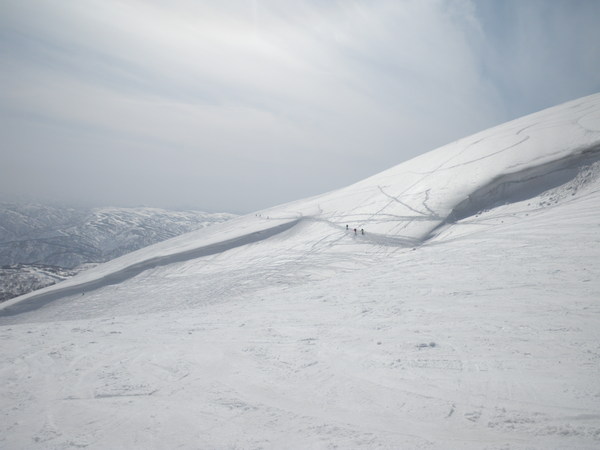 f0118332_23304439.jpg