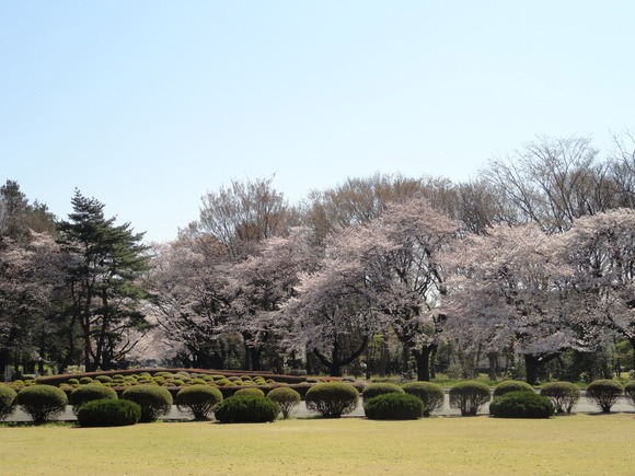 f0238932_15273142.jpg