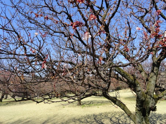 f0238932_15372731.jpg