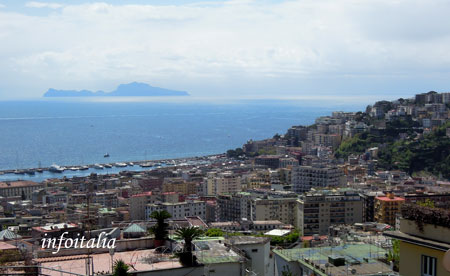 c0077533_264439.jpg