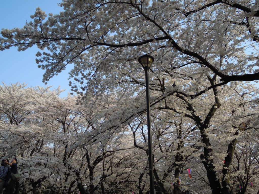 e0081334_23165567.jpg