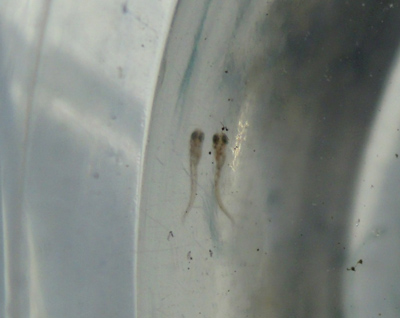 e0097534_18204663.jpg