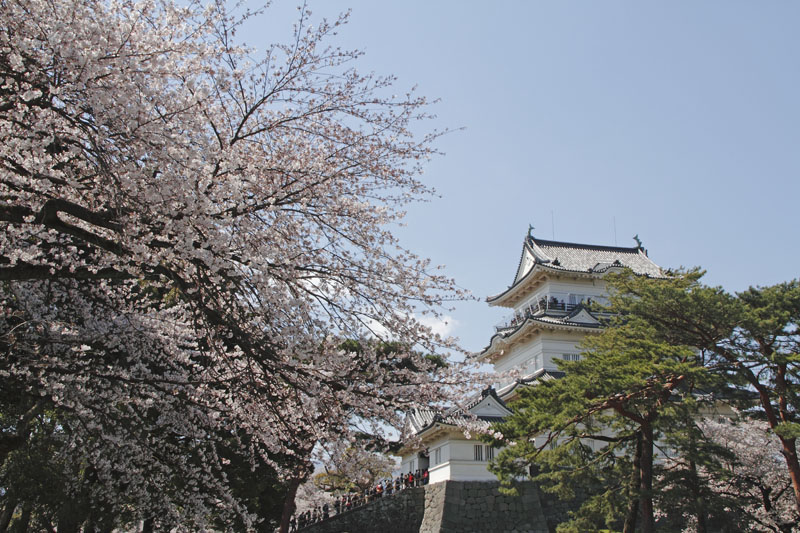 b0042837_2192148.jpg