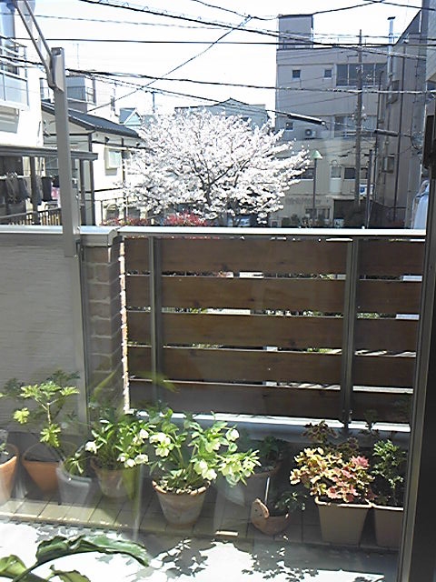 f0067138_13121094.jpg