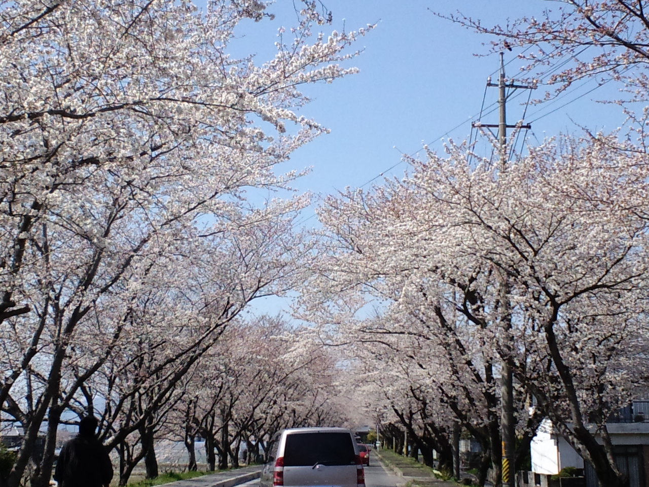 b0076739_073585.jpg