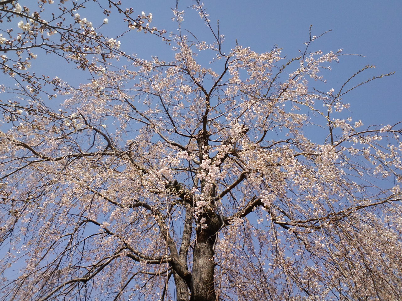 b0076739_075750.jpg