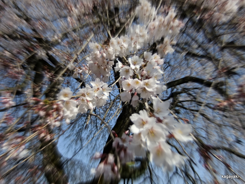 e0206242_0213326.jpg