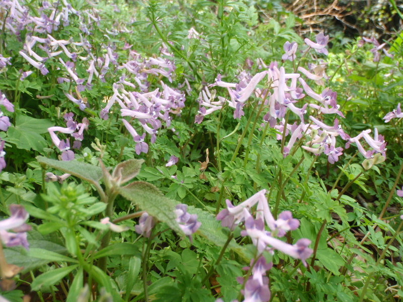 b0168843_1632322.jpg
