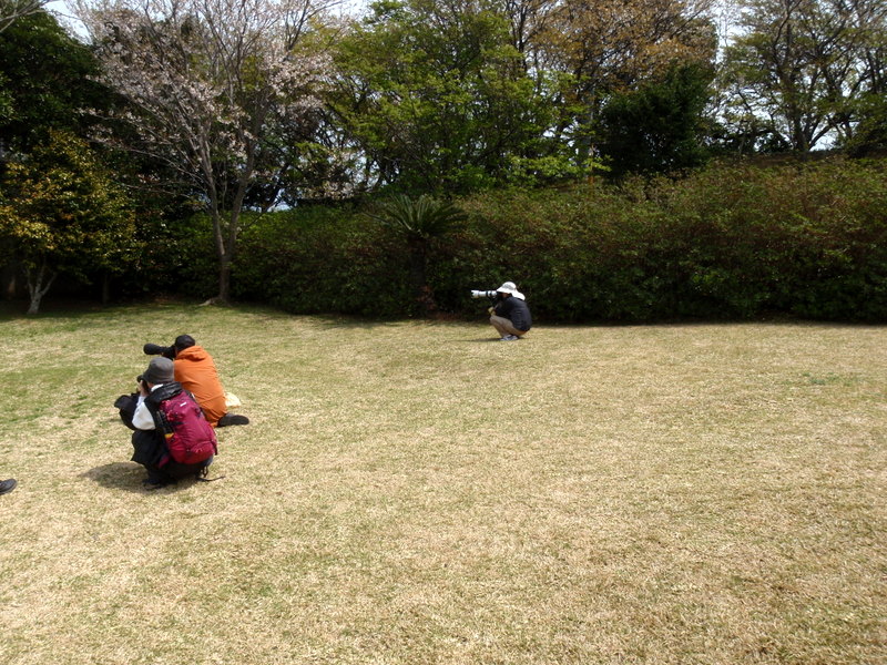 b0168843_18402723.jpg