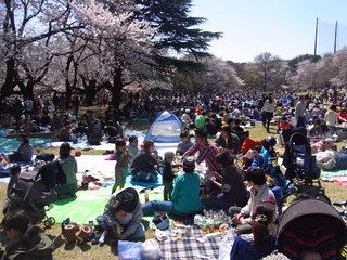 c0240644_10244227.jpg
