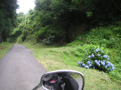 e0086244_16474617.jpg