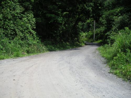 e0086244_16514296.jpg