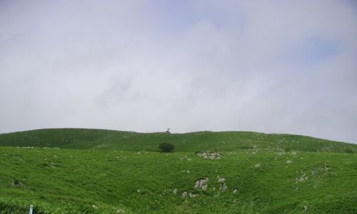 e0086244_17373634.jpg