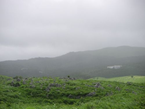 e0086244_17375263.jpg