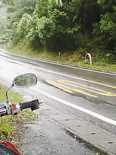 e0086244_17382218.jpg