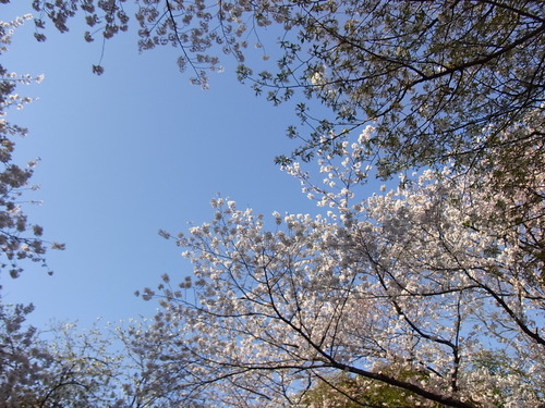 f0201745_111612.jpg