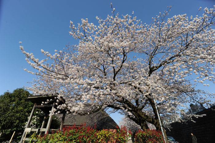 b0067346_23535114.jpg