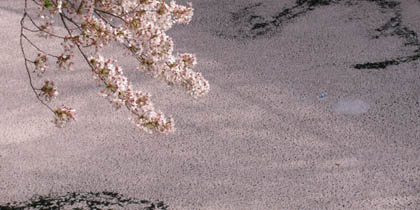 e0181546_15574025.jpg