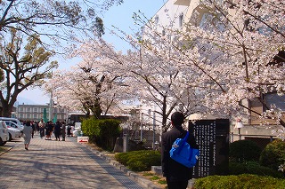 b0200747_2239314.jpg