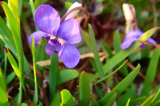 b0200747_22425836.jpg