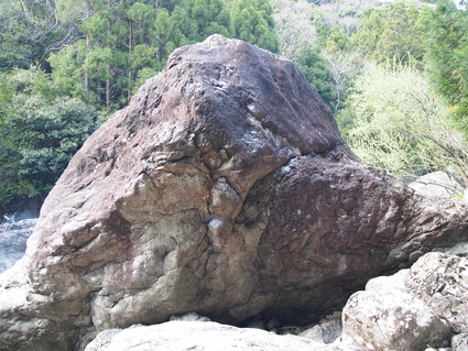 b0077448_12163510.jpg