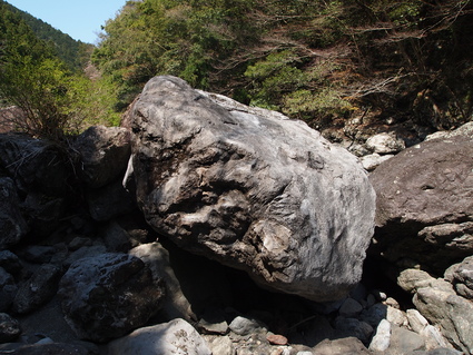 b0077448_17112182.jpg