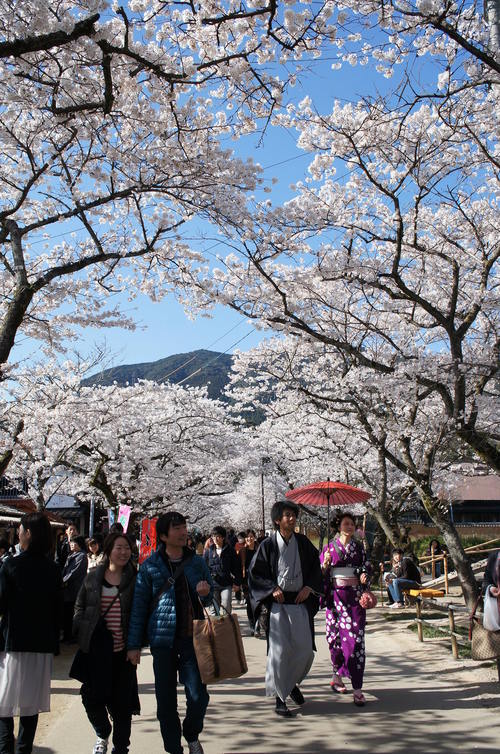 b0242248_1185422.jpg