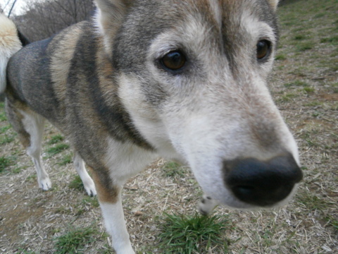 e0121548_2253827.jpg