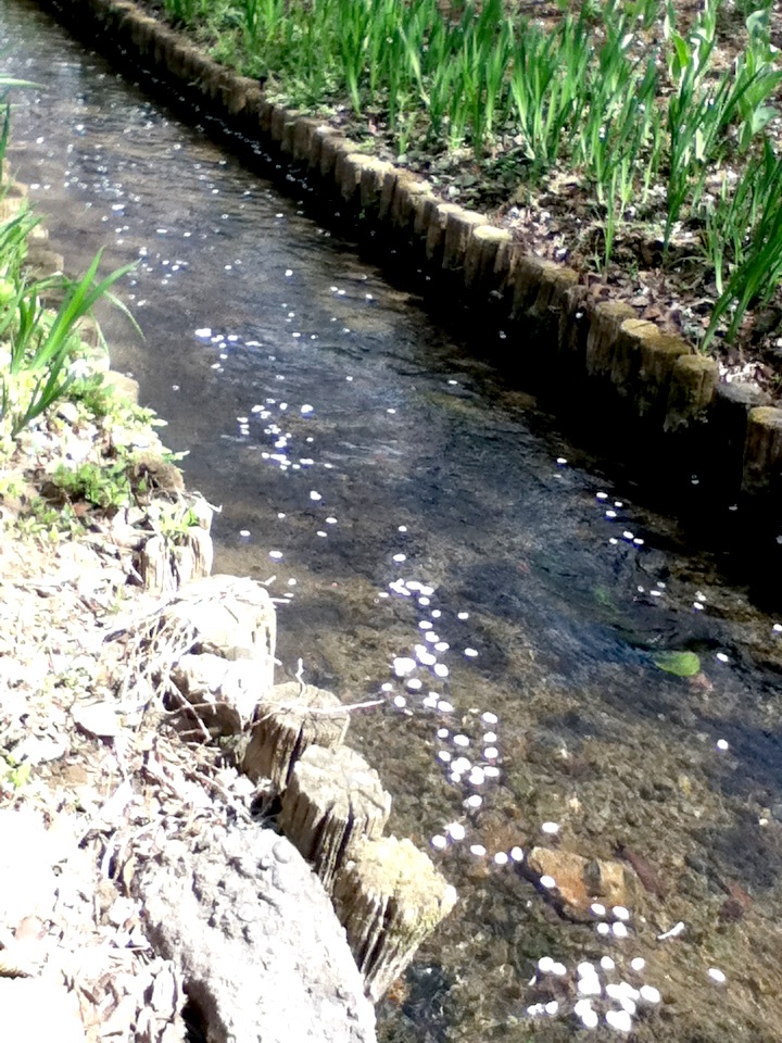 e0150849_20411441.jpg