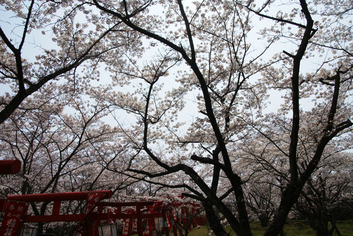 f0214649_9225617.jpg