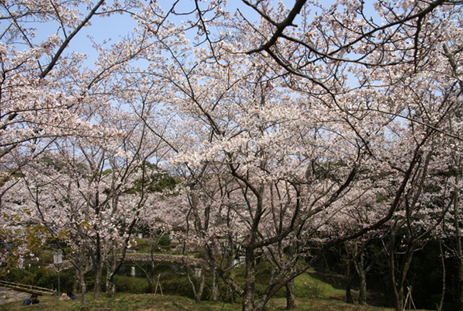 f0214649_9311750.jpg