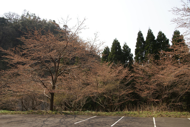 f0214649_945356.jpg