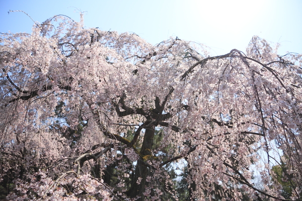 a0024250_2203463.jpg